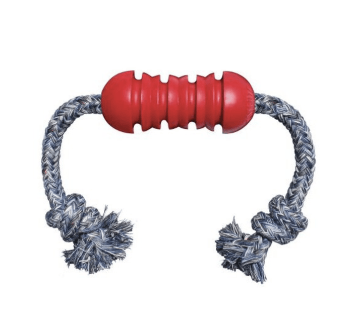 Stock image of the Dental with Rope, against a white background.