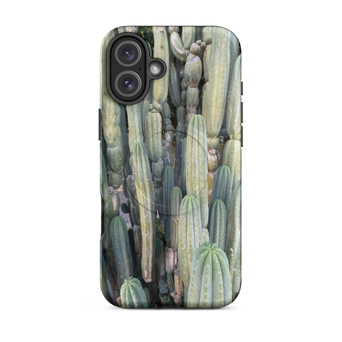 iPhone 16 Plus