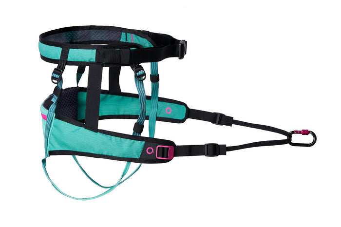 Non-stop - CaniX Belt 2.0