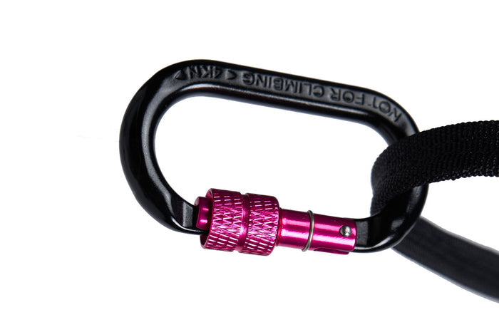 Non-stop - CaniX Belt 2.0