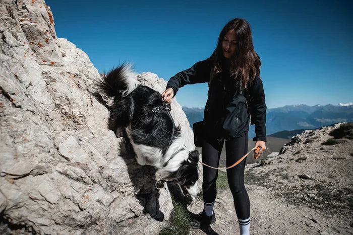 Non-stop - Line Harness with Grip