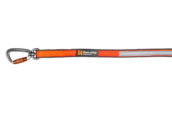 Stock image of the Move Lead, showing the carabiner on a white background.
