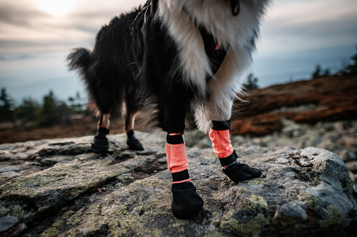Non-stop - Protector Bootie High (4 Pack)