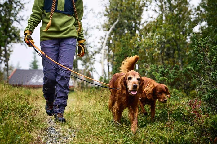 Non-stop - Retriever Leash