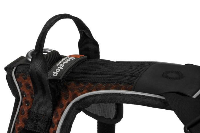 Non-stop - Rock Harness