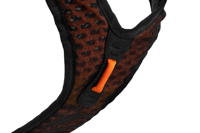 Non-stop - Rock Harness