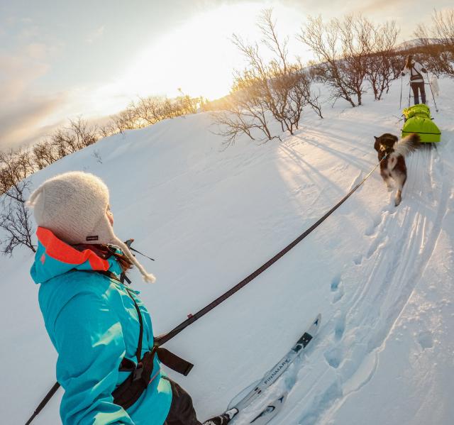 Lifestyle image of the Touring Bungee Lead, with a dog pulling ahead across the snow.