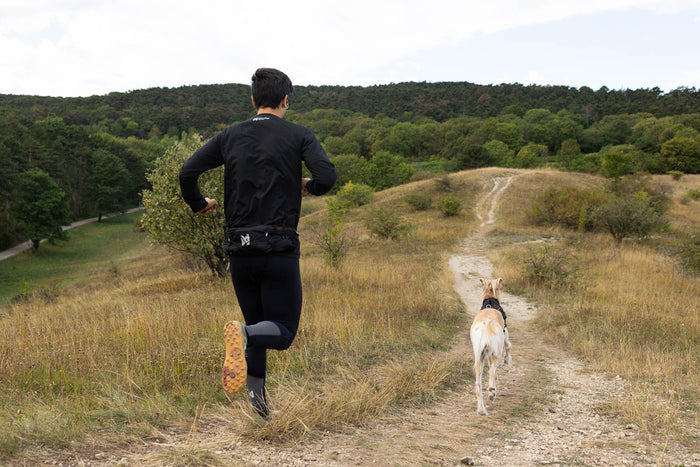 Non-stop - Trail Light Belt