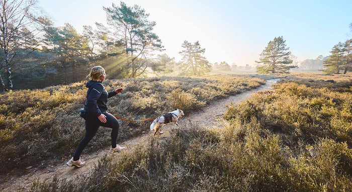 Non-stop - Trail Light Belt
