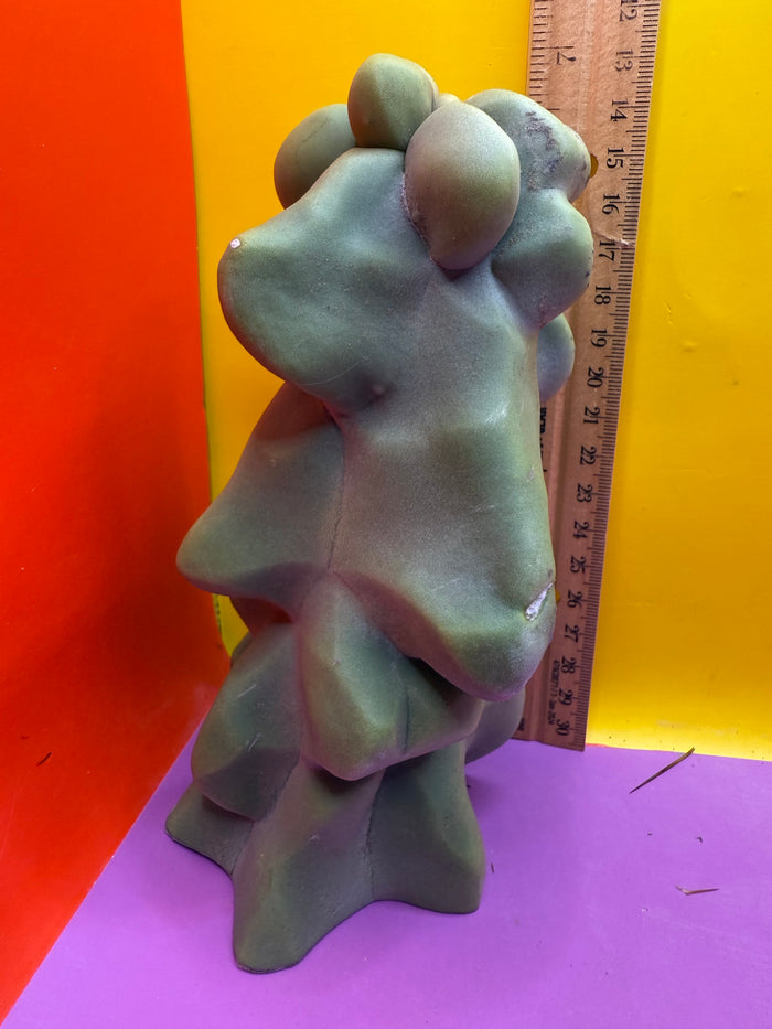 Obesa Totem pole cactus !!!