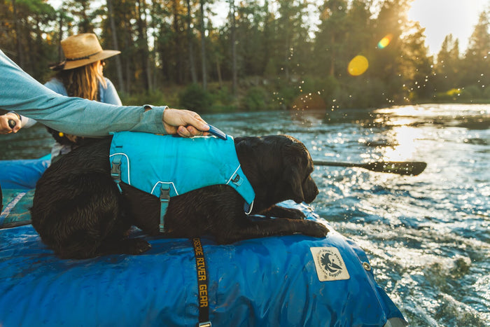 Ruffwear - Confluence Life Jacket