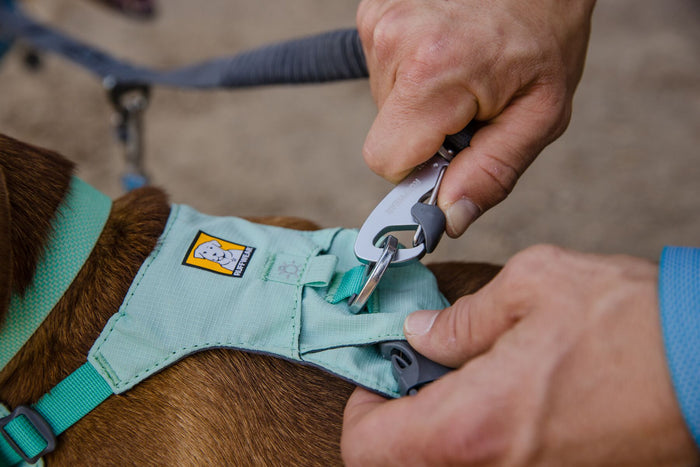Lifestyle image of the Double Track Coupler being attached to a harness.