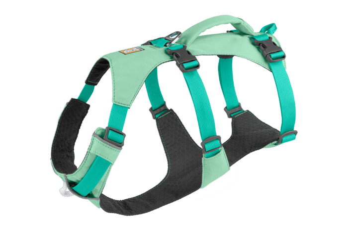 Stock image of the Flagline Harness in Sage Green, a double-belly strap harness on a white background with a handle.