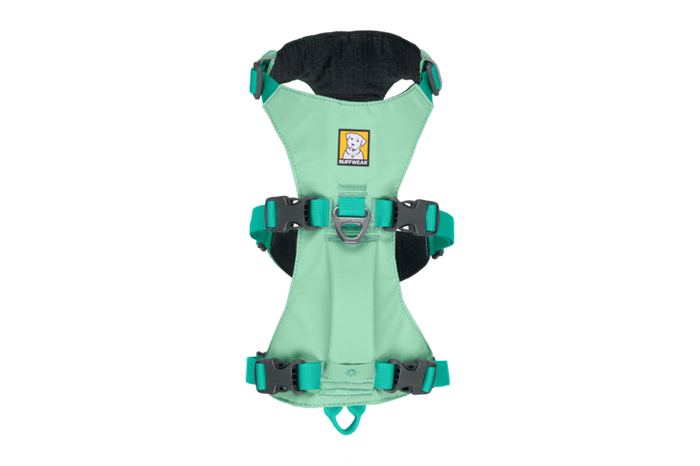 Stock image of the Flagline Harness, showing the top of the Flagline, against a white background.
