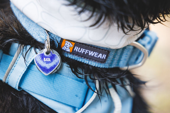 Ruffwear - Front Range Flex Collar