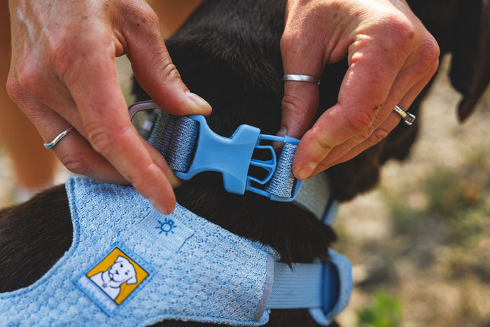 Ruffwear - Front Range Flex Harness