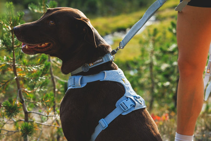 Ruffwear - Front Range Flex Harness