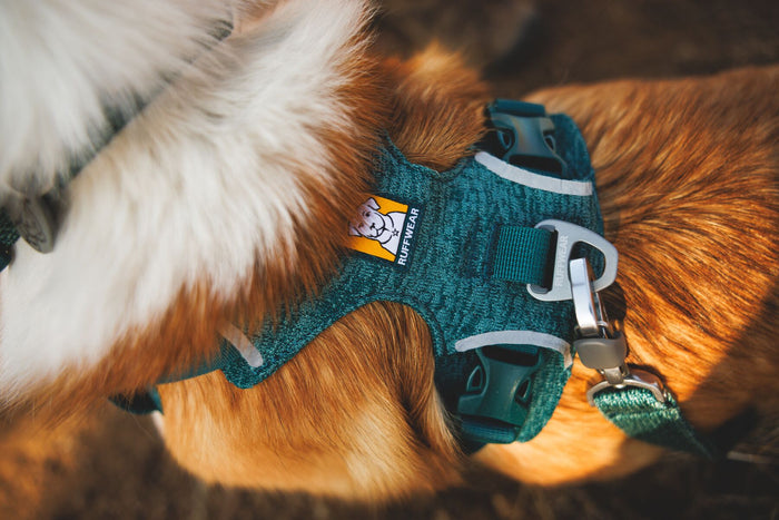 Ruffwear - Front Range Flex Leash