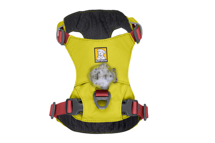 Stock image of the Hi & Light Harness, showing the Beacon attached to the harness.