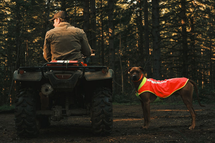 Ruffwear - Lumenglow Jacket