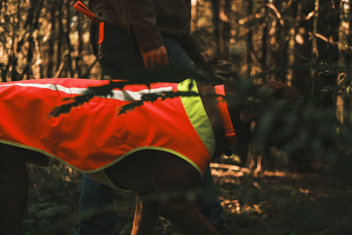 Ruffwear - Lumenglow Jacket
