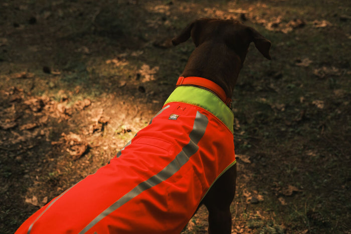 Ruffwear - Lumenglow Jacket