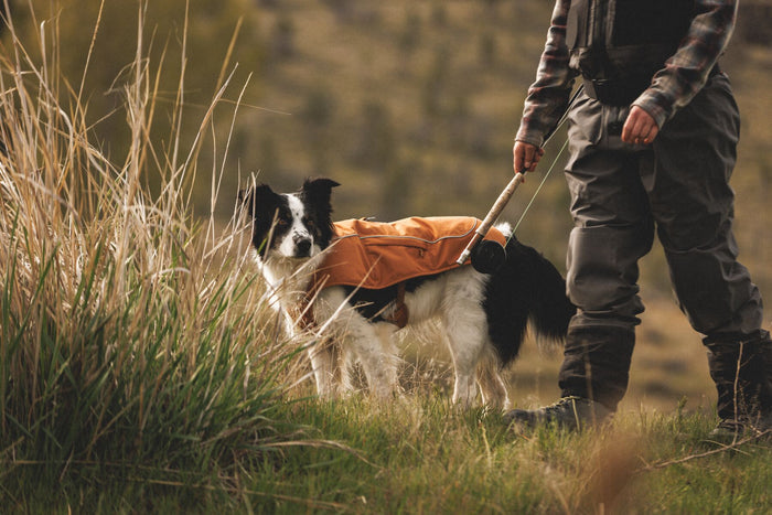 Ruffwear - Overcoat Fuse Insulated Vest