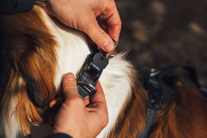 Ruffwear - Ridgeline Collar