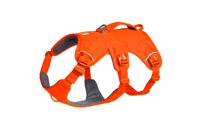 Ruffwear - Web Master Harness