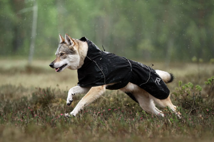 Rukka - Hayton ECO Raincoat*AUTUMN SALE*LAST FEW