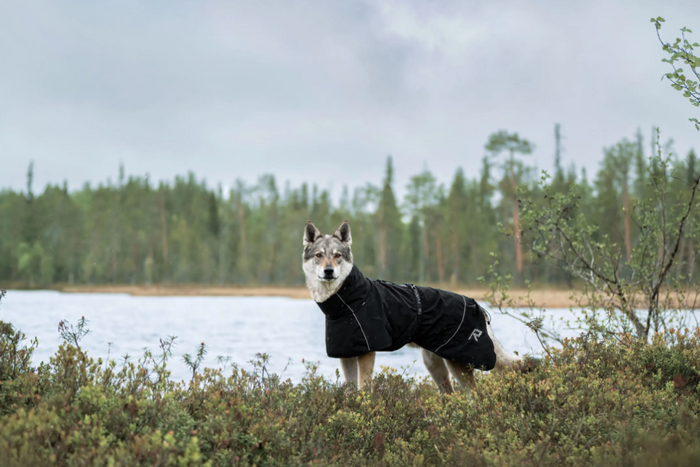 Rukka - Hayton ECO Raincoat*AUTUMN SALE*LAST FEW