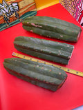 San Pedro cactus cutting