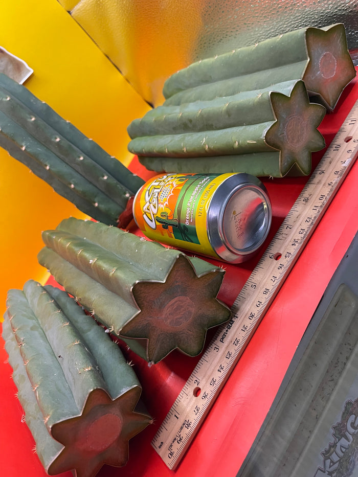 SAN PEDRO CACTUS CUTTING !