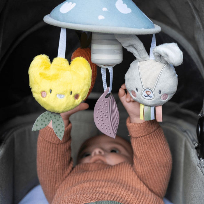 Taf Toys Garden Pram Mobile Crib And Stroller Toy
