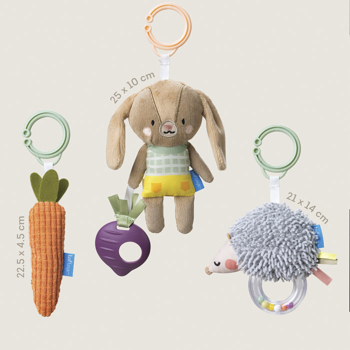 Taf Toys Hello Baby Activity Toys Kit