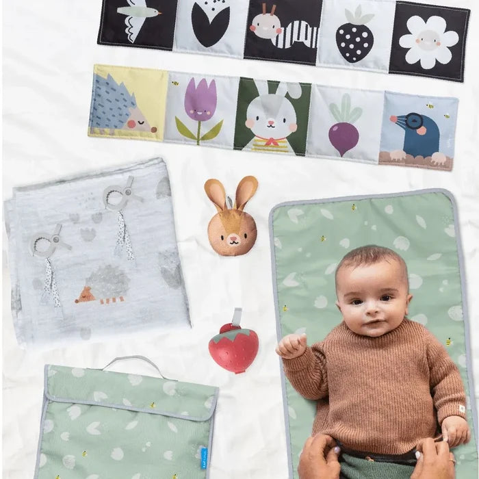 Taf Toys Hello Baby Newborn Outdoors Kit