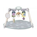 Taf Toys Urban Garden Foldable Gym
