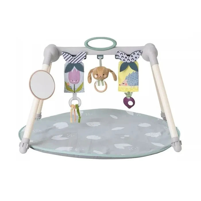 Taf Toys Urban Garden Foldable Gym