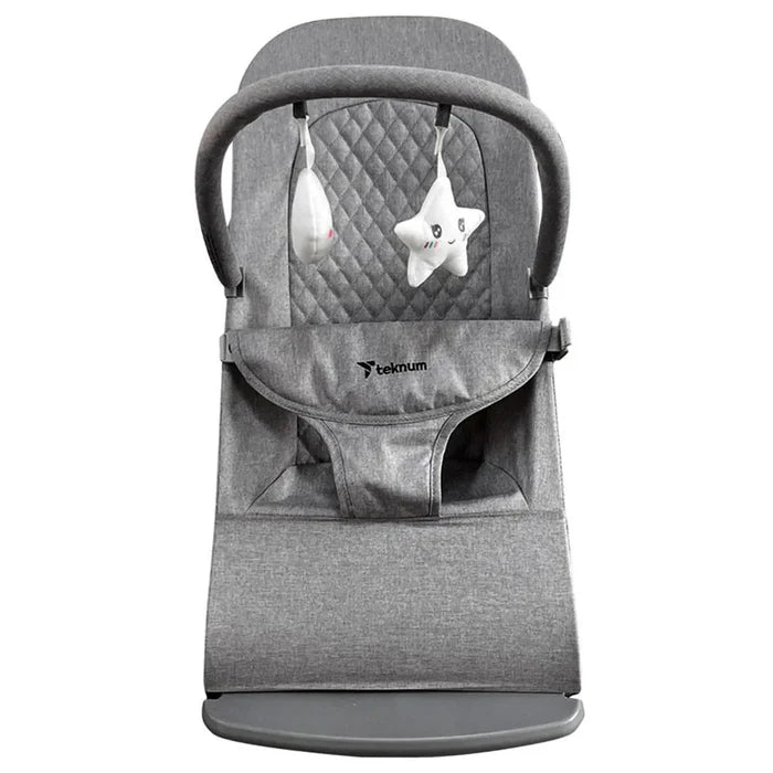 Teknum Baby Bouncer & Recliner Seat - Stage 3