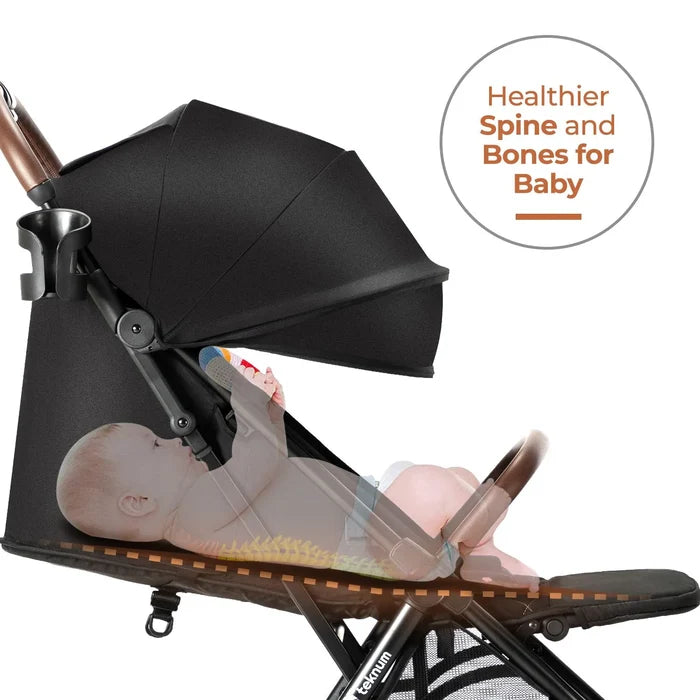 Teknum Travel Explorer 2 Stroller (Black)