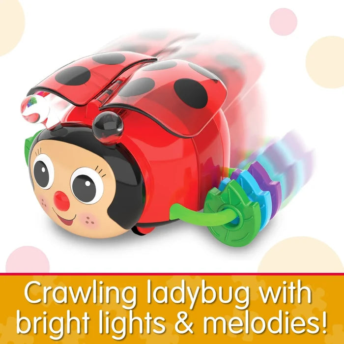 The Learning Journey Crawl About Ladybug