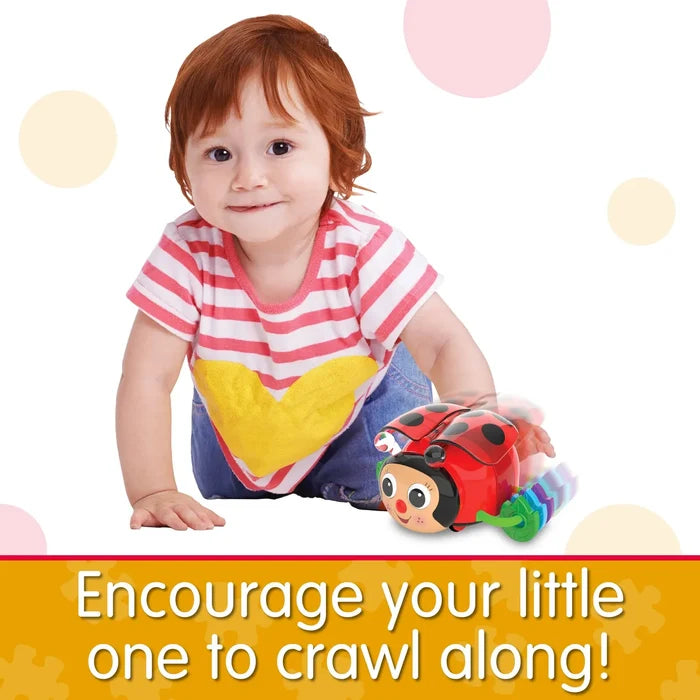 The Learning Journey Crawl About Ladybug