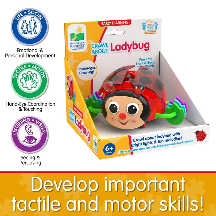 The Learning Journey Crawl About Ladybug