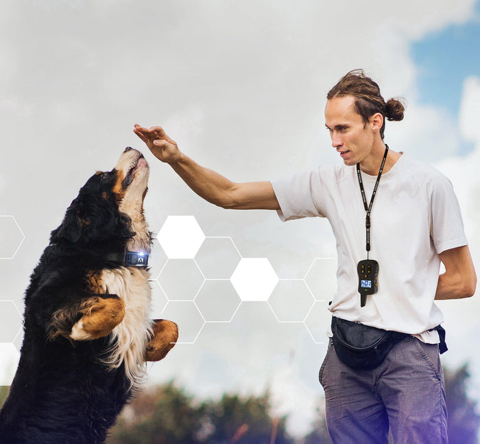 ULTRA K9 LANYARD - INVIROX DOG TRAINING GEAR